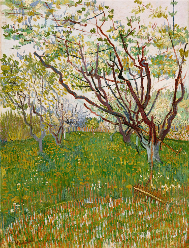 Orchard In Blossom Vincent Willem Van Gogh Oil Painting